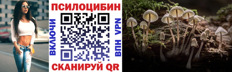 Псилоцибиновые грибы Psilocybine cubensis  наркошоп  Жигулёвск 